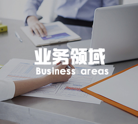 业务领域