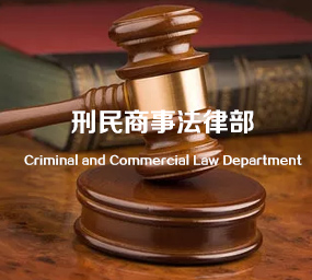 刑事诉讼法律服务业务