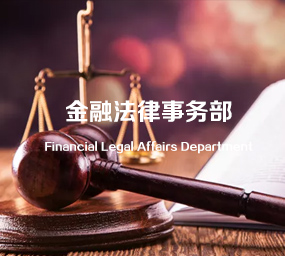 金融保险法律服务业务